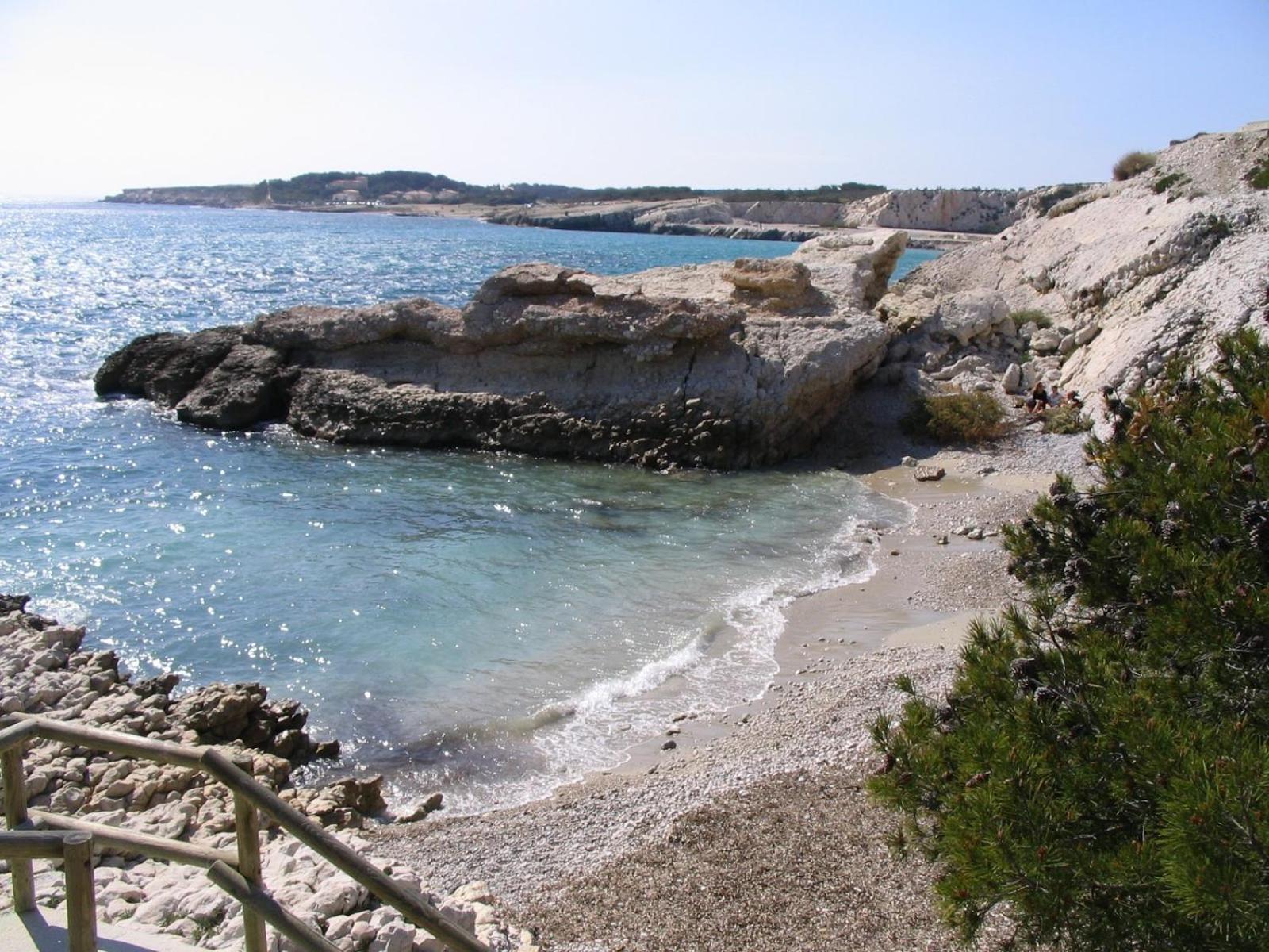 *Tiny Jungle* / Plage, Port Et Commerces A Pied Sausset-les-Pins Zewnętrze zdjęcie